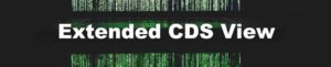 Extended CDS View