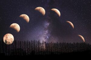 Eclipse Organization